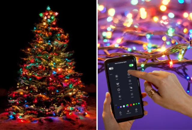 Luume Lichtsnoer 9 Meter - APP - Buiten & Binnen - 60 Lampjes - Smart - Lichtslinger - Silvergear