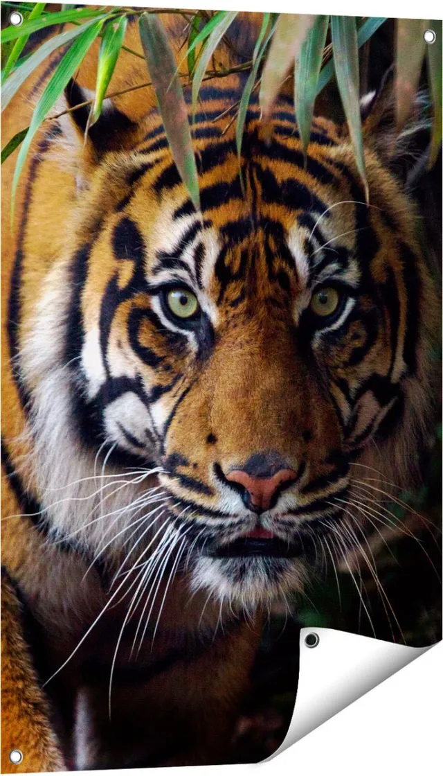 Gards Tuinposter Tijger in de Jungle - 60x90 cm - Tuindoek - Tuindecoratie - Wanddecoratie buiten - Tuinschilderij Multikleur
