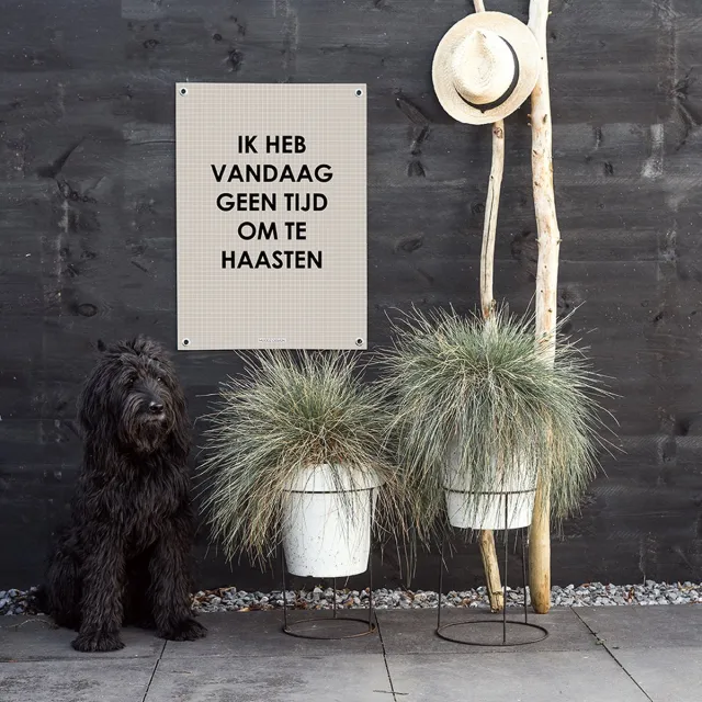 MOODZ design Tuinposter | Buitenposter | Ik heb vandaag geen tijd om te haasten | 70 x 100 cm | Zand