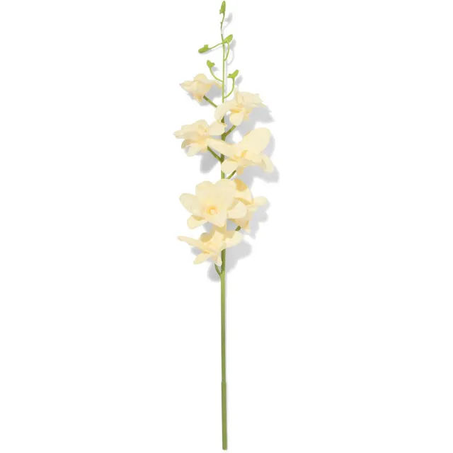 HEMA kunstbloem dendrobium, rubber, wit, 55 cm