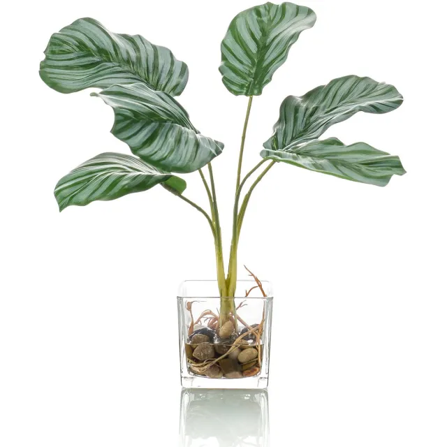 Easyplants Kunstplant Calathea 35 cm in glas Groen