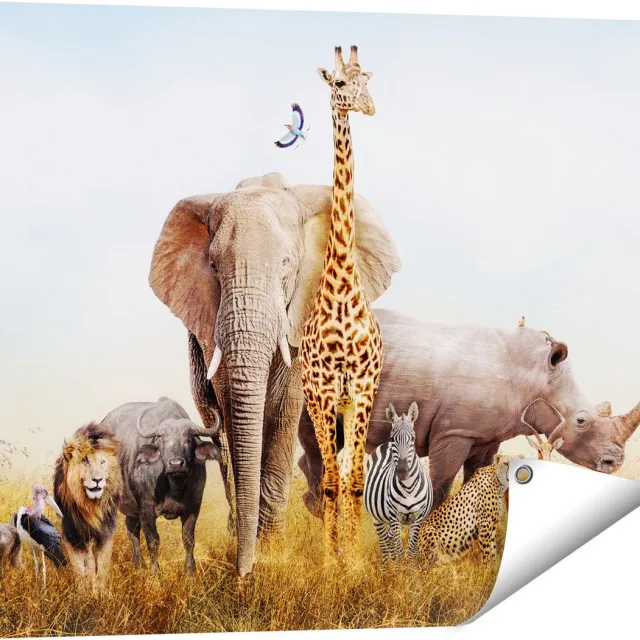 Gards Tuinposter Afrikaanse Dieren op het Gras - Afrika - 80x60 cm - Tuindoek - Tuindecoratie - Wanddecoratie buiten - Tuinschilderij Multikleur