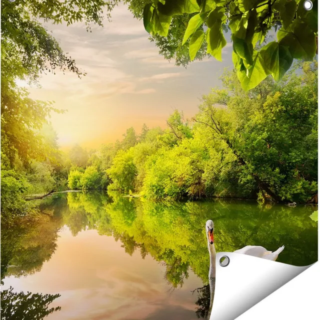 Gards Tuinposter Zwaan op het Water in het Bos - 60x60 cm - Tuindoek - Tuindecoratie - Wanddecoratie buiten - Tuinschilderij Multikleur