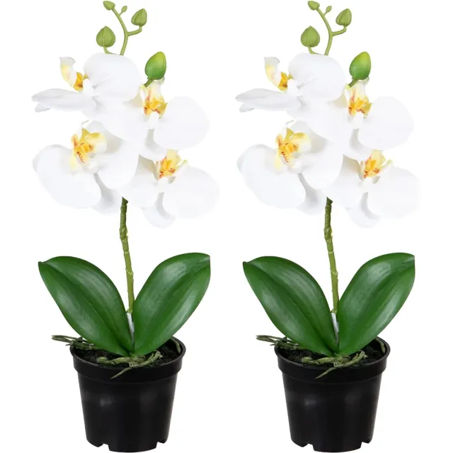 Louis Maes Orchidee bloemen kunstplant op plug - 2x - bloemen/bloemetjes - wit/groen - H33 cm