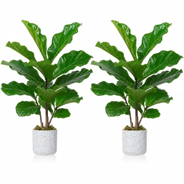 HOERFURIY kunstficus lyrata set van 2 stuks - 40 cm groen PEVA - tafelplant met marmerlook pot voor binnen