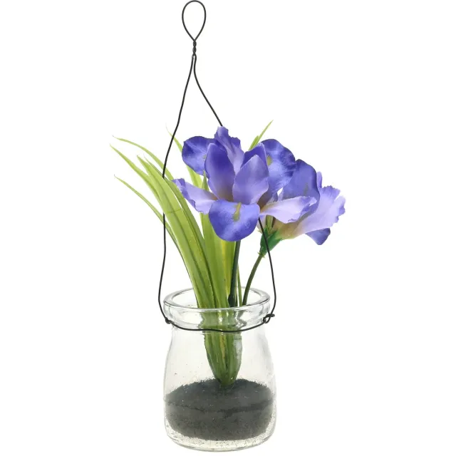 Viana Iris sering in een glas om op te hangen H21.5cm paars