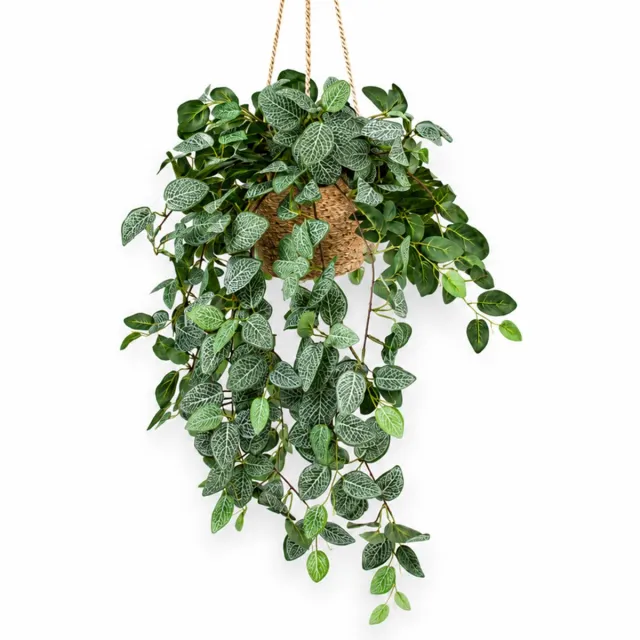 HTT Decorations Kunstplant Pilea in hangmand naturel L140cm Groen