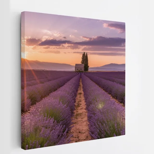 Saammp Canvas Schilderij - Groot lavendelveld met huis - Bloemen - Landschap - Natuur - 100x100 - Foto op canvas - Wanddecoratie - Muurdecoratie Woonkamer - Slaapkamer decoratie - Canvas Print Multicolor