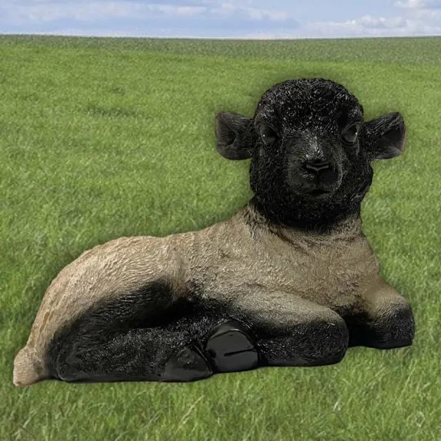 Inspiring Minds Tuinbeeld schaap een schaap beeldje 24cm - dieren beeldjes decoratie Zwart