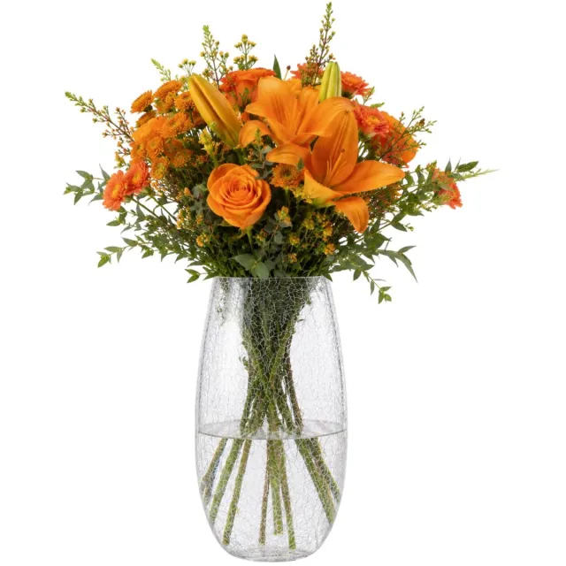 Atmosphera Bloemenvaas Frosted - bewerkt krakelee glas - D14 x H27 cm - taps - boeketvaas - 3 liter - Moderne stijl Transparant