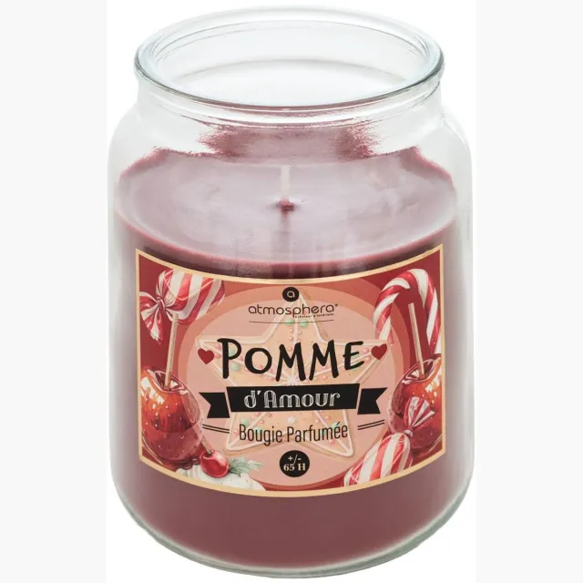 Atmosphera Créateur d'intérieur® Eloa geurkaars 490g Modèle C
