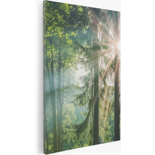 Saammp Canvas Schilderij - Zon tussen de bomen - Bos - Landschap - Natuur - 75x100 - Foto op canvas - Wanddecoratie - Muurdecoratie Woonkamer - Slaapkamer decoratie - Canvas Print Multicolor