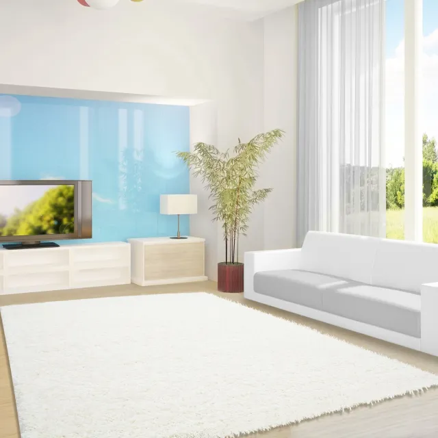 Ayyildiz Hoogpolig vloerkleed, effen kleur - crème, vloerkleed voor de woonkamer, jute achterkant, afmeting: 80 x 150 cm