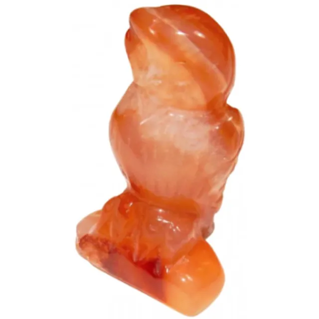 Shanna's Gems and more Miniatuur Uil Natuurlijke Carneool oranje