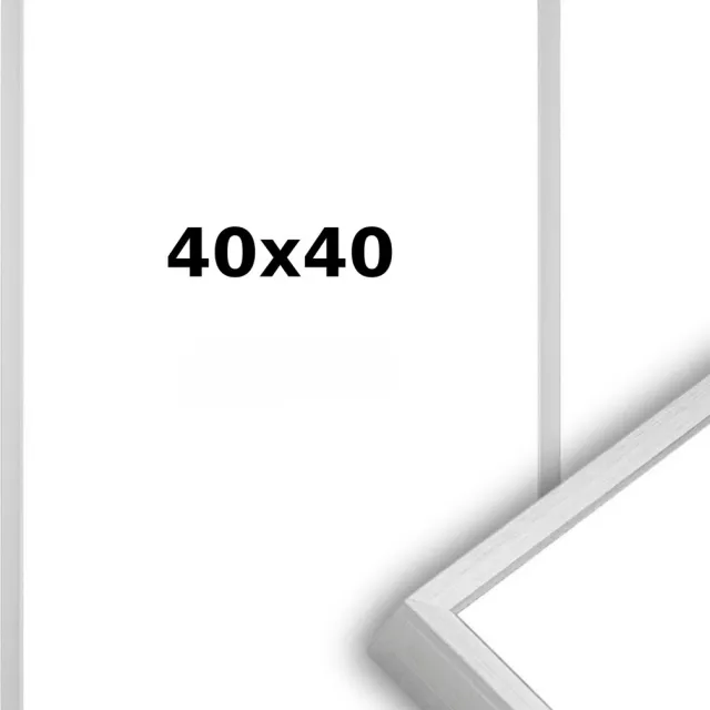 Lichtendonk Aluminium Wissellijst 40 x 40 Matzilver - Ontspiegeld Glas - Professional