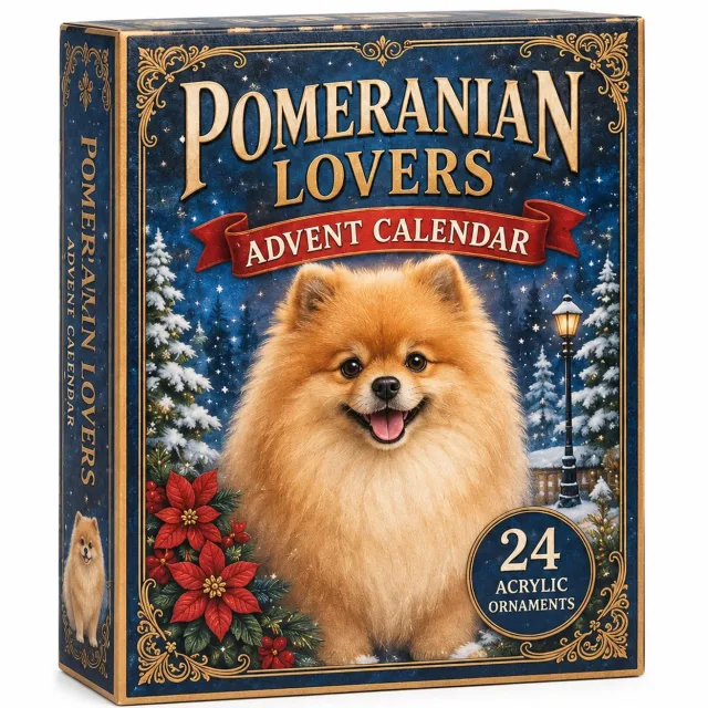 SWGOTA Adventskalender met pomeriaanmotieven, 24 vakjes met platte hangdecoraties, in kartonnen geschenkdoos Multicolor