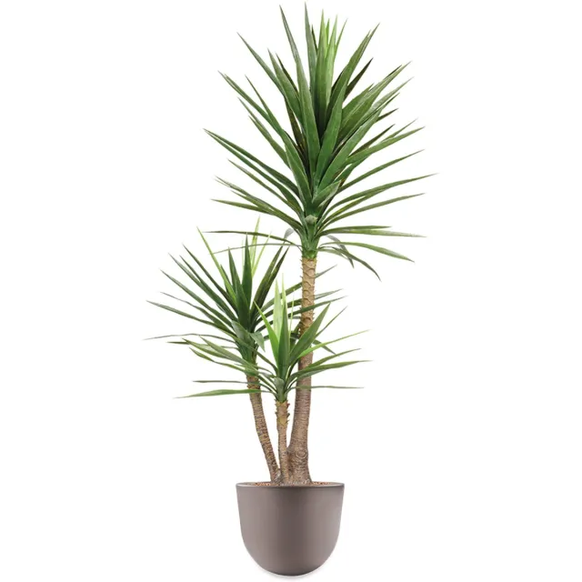 HTT Decorations HTT - Kunstplant Yucca in Eggy taupe H175 cm