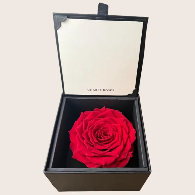 RoseAmor Longlife Roos in Stijlvolle Cadeaudoos – Echte Houdbare Roos – Rood – Cadeau voor Haar