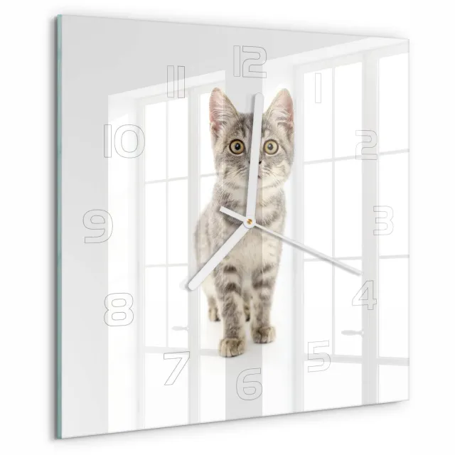 TULUP Wandklok - Grijze kat Glazen Klok Met Print - 30x30 cm - Grijs Wandklok Glas Met Motief - Witte handen - Vierkante Klok - Wandklok Glas Decoratie - Gekleurde Glazen Klok