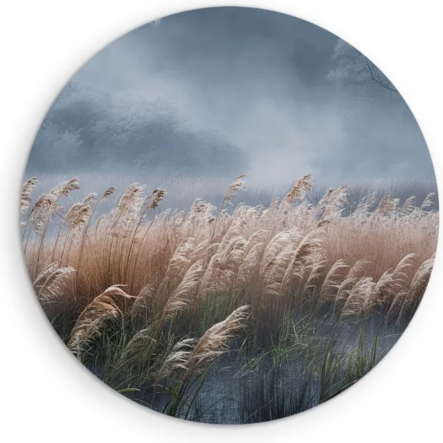 Saammp Forex Muurcirkel - Hoog gras in de mist - Zonsondergang - Landschap - Natuur - Ø 80 - Wandcirkel - Wanddecoratie Cirkel - Muurdecoratie Woonkamer - Slaapkamer decoratie - Rond Schilderij