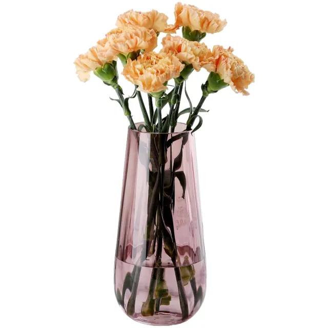 Imperatoris Glazen Vazen / Glazen Flessen – Mini Decoratieve Vaas Flesjes – Helder Glas – Inclusief Strik – 12.2 x 8.2 x 25 cm – Rosa