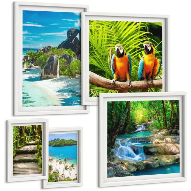 Coloray 5-Delige Schilderij Set - Tropische Landschappen Met Exotische Vogels En Watervallen - 50 x 50 cm, 20 x 30 cm En 40 x 60 cm - Wanddecoratie - Schilderijen Set - Interieur - Muurdecoratie Witte lijst