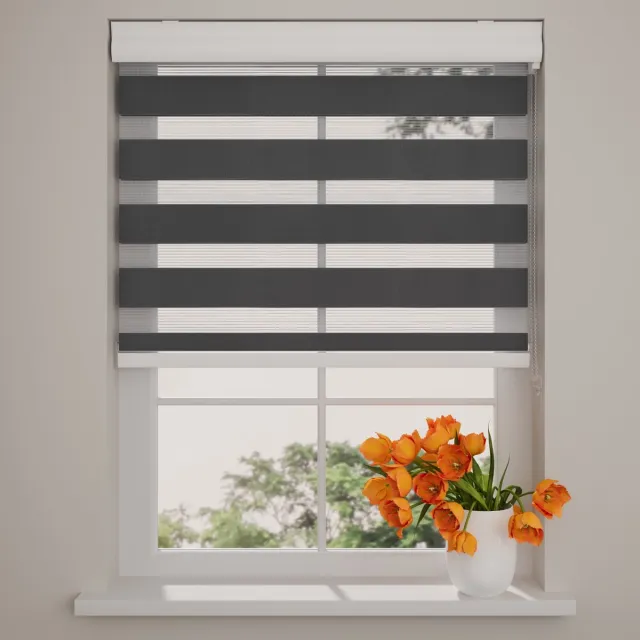 DTCH Duo Rolgordijn - Splendid - Lichtdoorlatend - Zwart - 50 x 175 cm Black