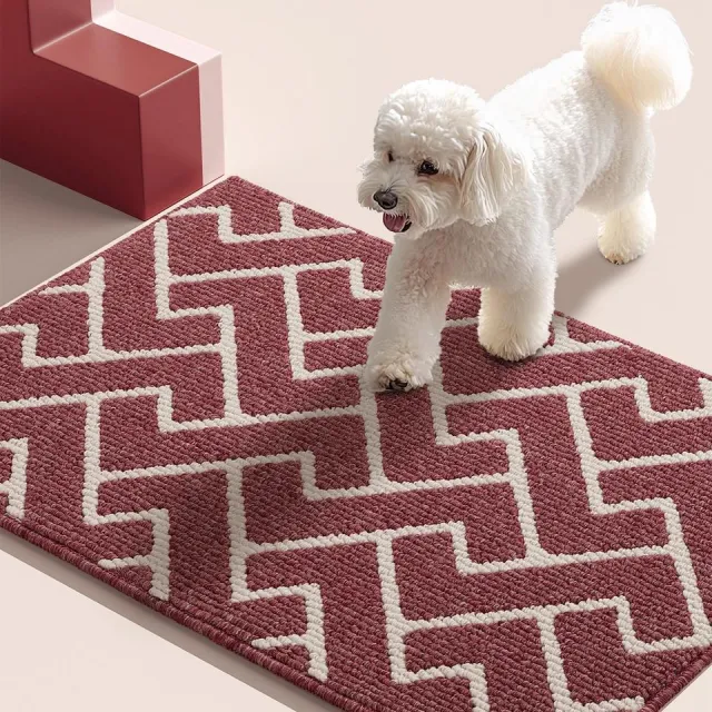 Ibenzoa Multifunctionele Vuilopvangmat voor Binnen en Buiten met Antislip Eigenschappen rood