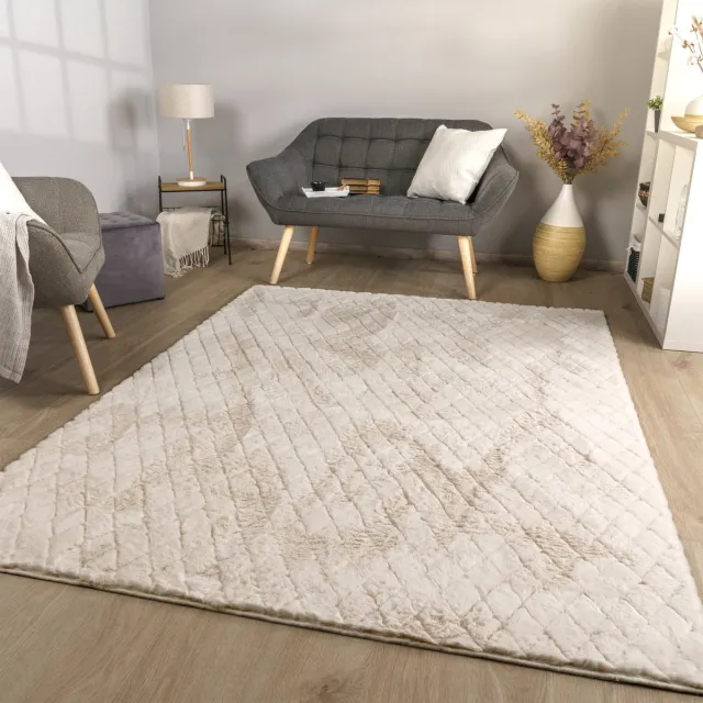 TT Home Woonkamertapijt eetkamer kortpolig geometrisch uiterlijk Skandi Boho effen kleuren 120 x 160 cm Rechthoek antraciet beige