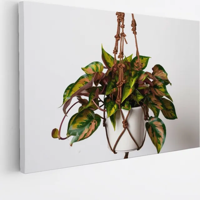 Saammp Canvas Schilderij - Hangplant met Kleurrijke Bladeren - Natuur - Abstract - 60x40 - Foto op canvas - Wanddecoratie - Muurdecoratie Woonkamer - Kantoor Decoratie Multicolor