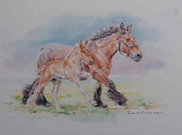 Ton van der Weerden Trekpaarden schilderij TW35 - Foto - Ton van der Weerden - Fine Art Print op fotokwaliteit papier - 40 x 60 cm bruin