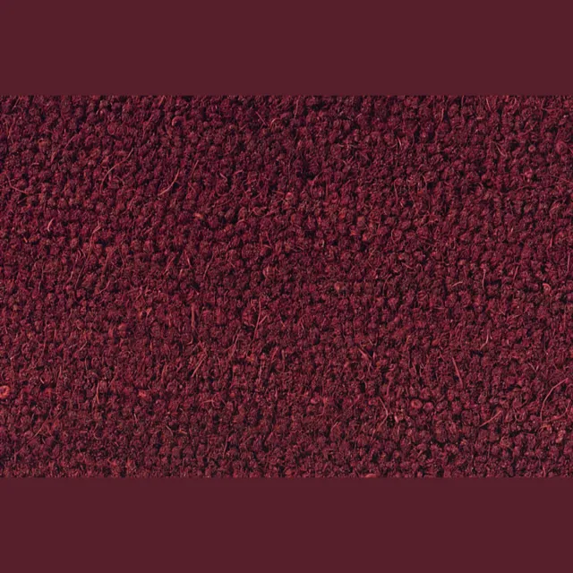 Deurmatdirect Kokosmat Rood - 60x100cm - Deurmat binnen - 17mm - Kokosvezel - Vangt vuil en zand op - Schoonloopmat - Duurzaam