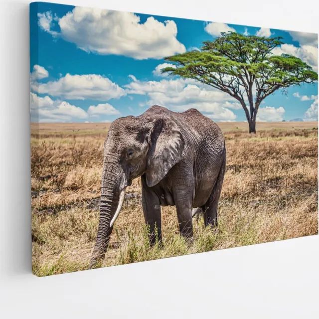 Saammp Canvas Schilderij - Olifant in de Serangeti - Natuur - Dieren - 30x20 - Foto op canvas - Wanddecoratie - Muurdecoratie Woonkamer - Slaapkamer decoratie - Canvas Print Multicolor