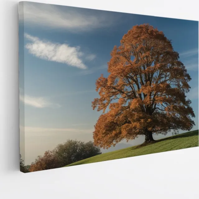 Saammp Canvas Schilderij - Grote Boom op berg - Natuur - Landschap - 30x20 - Foto op canvas - Wanddecoratie - Muurdecoratie Woonkamer - Slaapkamer decoratie - Canvas Print Multicolor