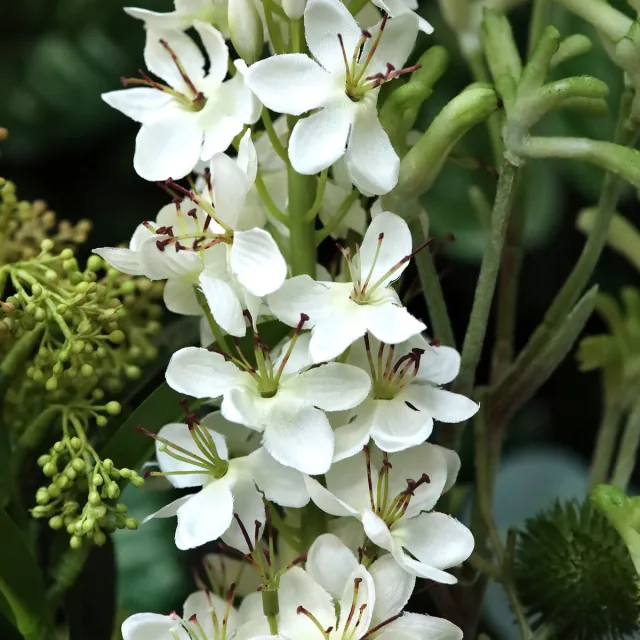 maxifleur Kunstplanten Kunstboeket Angelina Jersey 100cm Creme