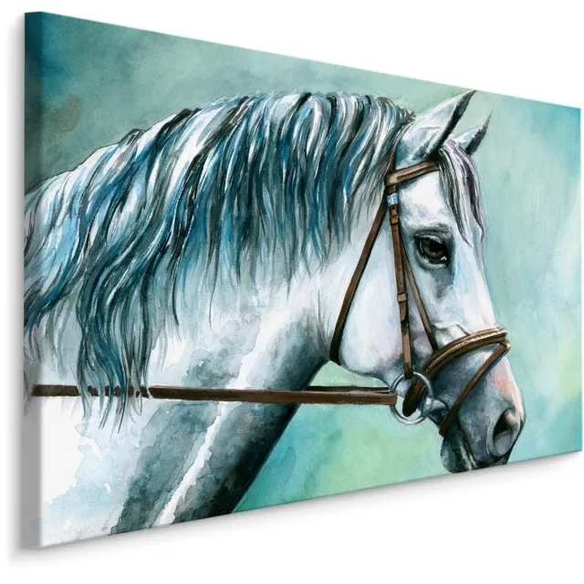 karo-art Schilderij - Prachtig schilderij van een wit paard, print op canvas, premium print Multikleur