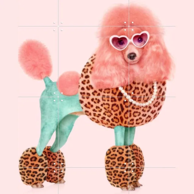 IXXI Funky Poodle, Paul Fuentes - 60 x 80 cm - Grote wanddecoratie en posters - Fotografie, Digitale Kunst, Pop art, Speels, Illustraties Roze