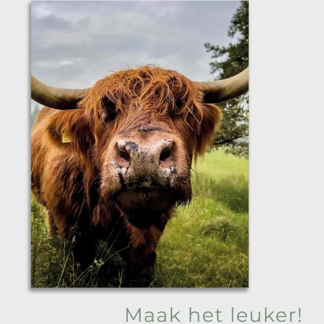 Maak het leuker Tuinposter Highlander Neus - Posters voor in de tuin - Tuindecoratie - Tuinposter - 80 x 90 cm Meerkleurig