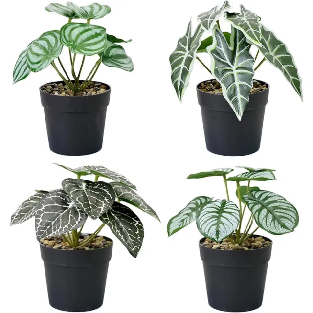 Cosensi Set van 4 mini kunstplanten voor binnendecoratie - balkon, kantoor, badkamer.