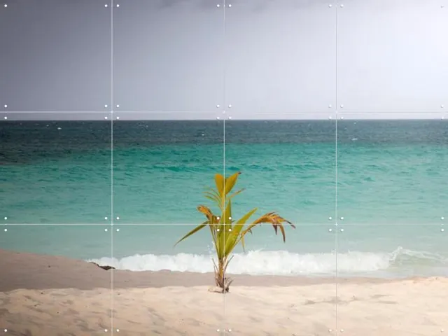 IXXI Lonely Palm On Quiet Tropical Beach, Claire Droppert - 80 x 60 cm - Grote wanddecoratie en posters - Fotografie, Strandhuis, Woonkamer, Gang Beige / Groen / Blauw