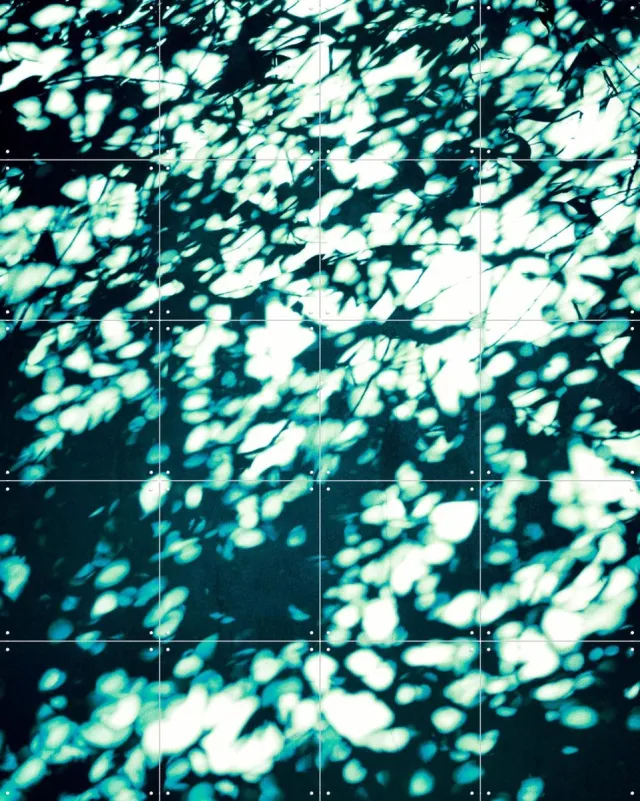 IXXI Wall Shadows Teal, Angelo Cerantola - 80 x 100 cm - Grote wanddecoratie en posters - Modern, Abstract, Surrealisme, Digitale Kunst, Speels Groen / Blauw / Zwart