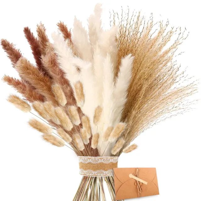 Famanu Gedroogd pampasgras, natuurlijke gedroogde bloemen in bruin en wit, pluizige bladeren, lagurus en zegge, voor bloemstukken en decoratie