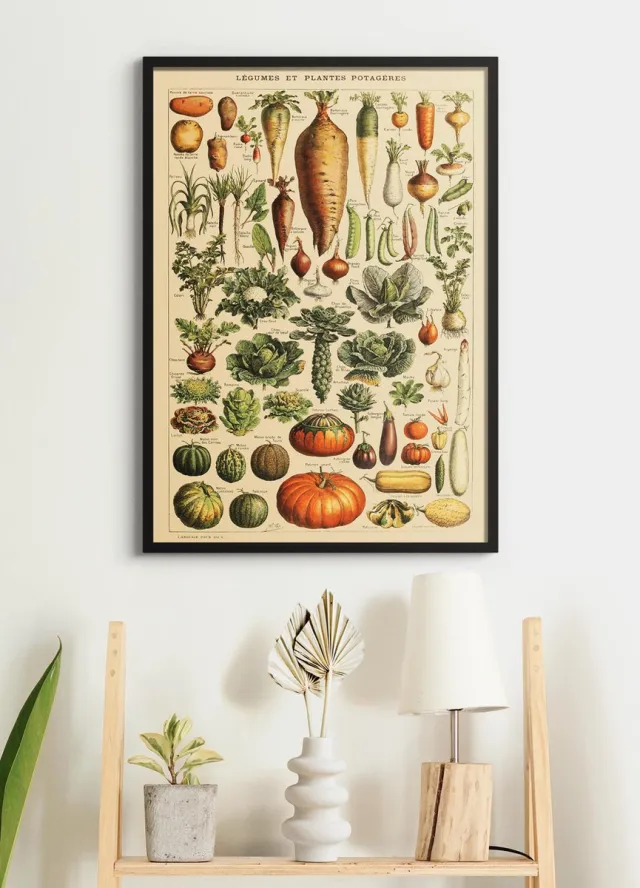 Esque Poster In Zwarte Lijst - Vintage Groenten - Educatief - Botanisch - 70x50 cm