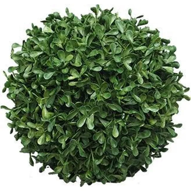 Erutan avon Box Princeville ball 20 cm kunstplant Erutan Avon Groen