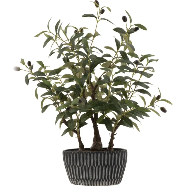 J-Line olijfboom in cement pot - kunststof - groen