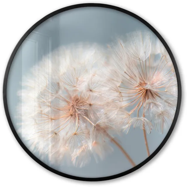 FrameYourWall Poster in lijst Rond - Fotolijst 80x80 cm - Posters - Paardenbloemen - Pluisjes - Wit - Ronde posterlijst zwart - Decoratie - Wanddecoratie woonkamer - Muurdecoratie slaapkamer