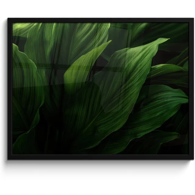 FrameYourWall Poster in lijst - Fotolijst 80x60 cm - Posters - Bladeren - Schaduw - Groen - Textuur - Posterlijst zwart - Decoratie - Wanddecoratie woonkamer - Muurdecoratie slaapkamer Bladeren - Textuur