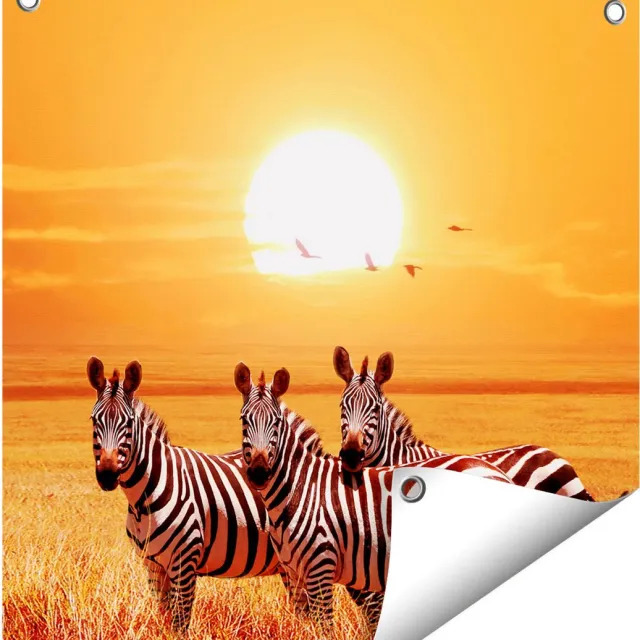 Gards Tuinposter Drie Zebra's bij Zonsondergang - 50x50 cm - Tuindoek - Tuindecoratie - Wanddecoratie buiten - Tuinschilderij Multikleur