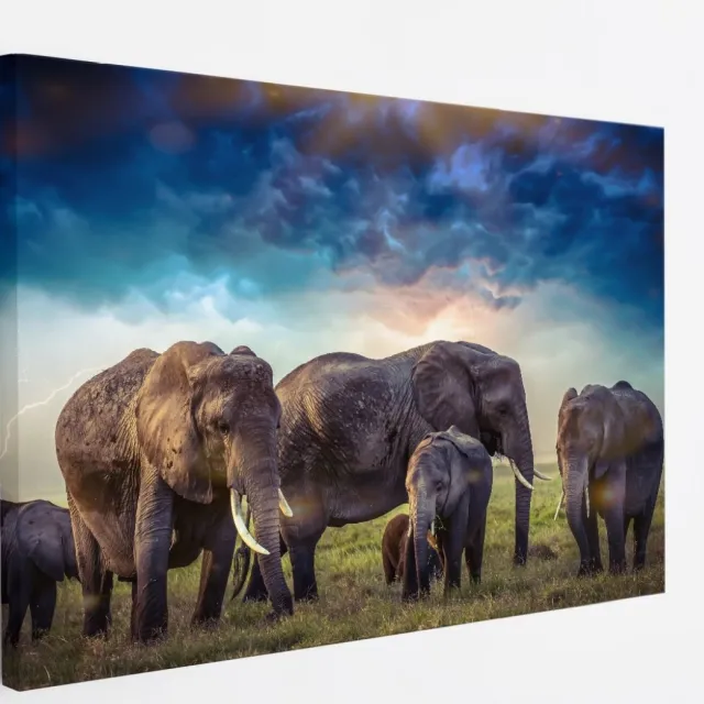 Saammp Canvas Schilderij - Olifanten familie met mooie lucht - Natuur - Dieren - 70x50 - Foto op canvas - Wanddecoratie - Muurdecoratie Woonkamer - Slaapkamer decoratie - Canvas Print Multicolor