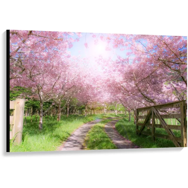 KuijsFotoprint Canvas - Zandpad tussen de Roze Bomen - 120x80cm Foto op Canvas Schilderij (Wanddecoratie op Canvas) Groen